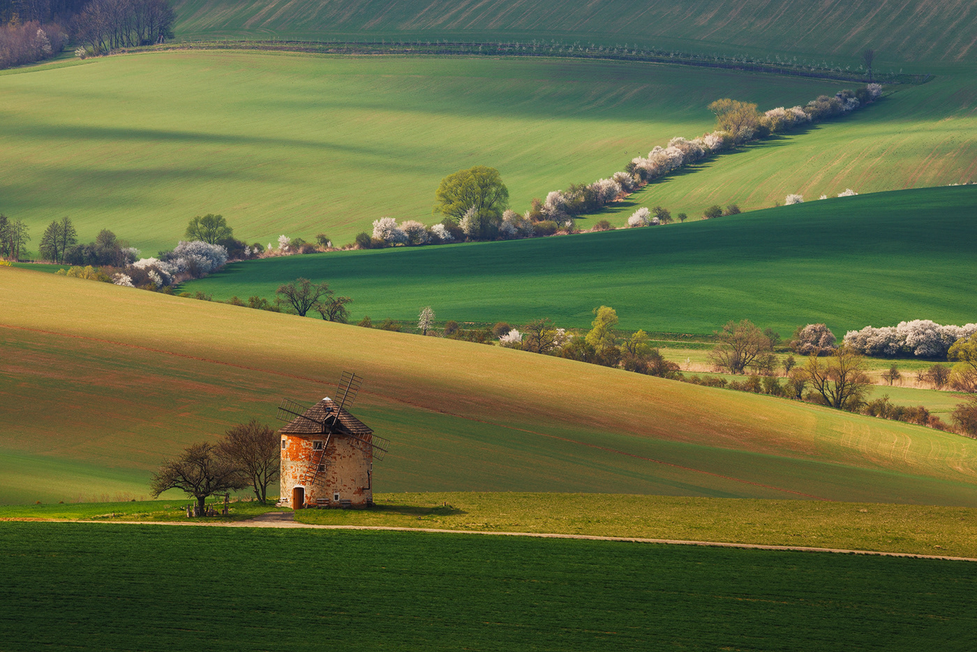 countryside Czech Republic Europe Landscape light Nature Photography  rural South Moravia Travel