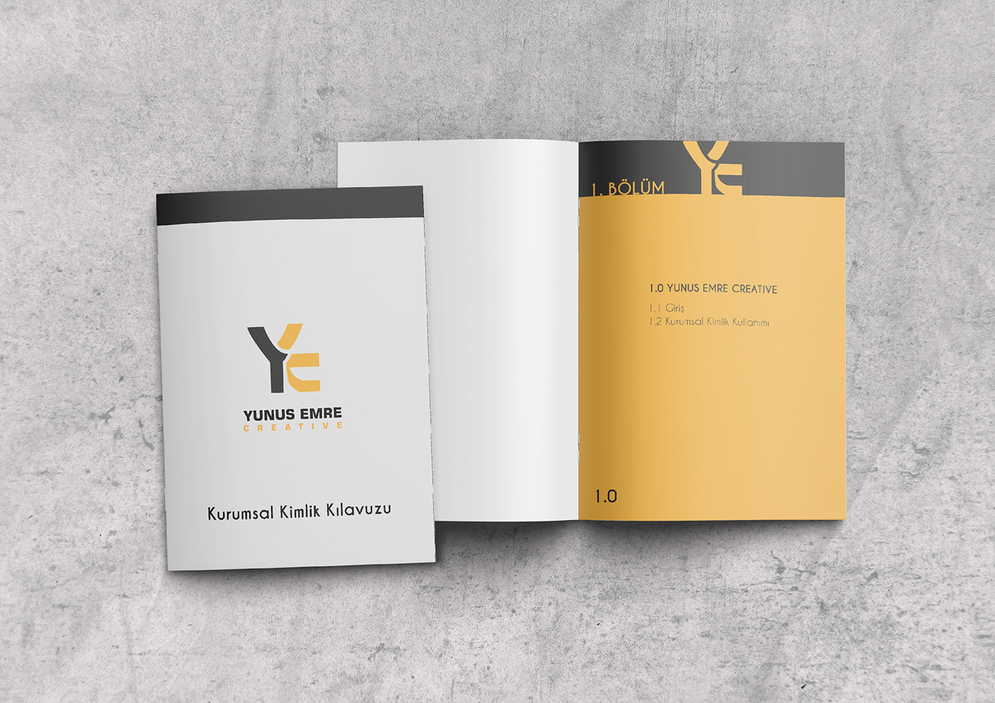 portfolyo portfolio sosyal medya tasarımı logo afiş tasarımı kitap kapağı tasarımı dergi tasarımı katalog tasarımı kurumsal kimlik tasarımı şarkı kapağı tasarımı