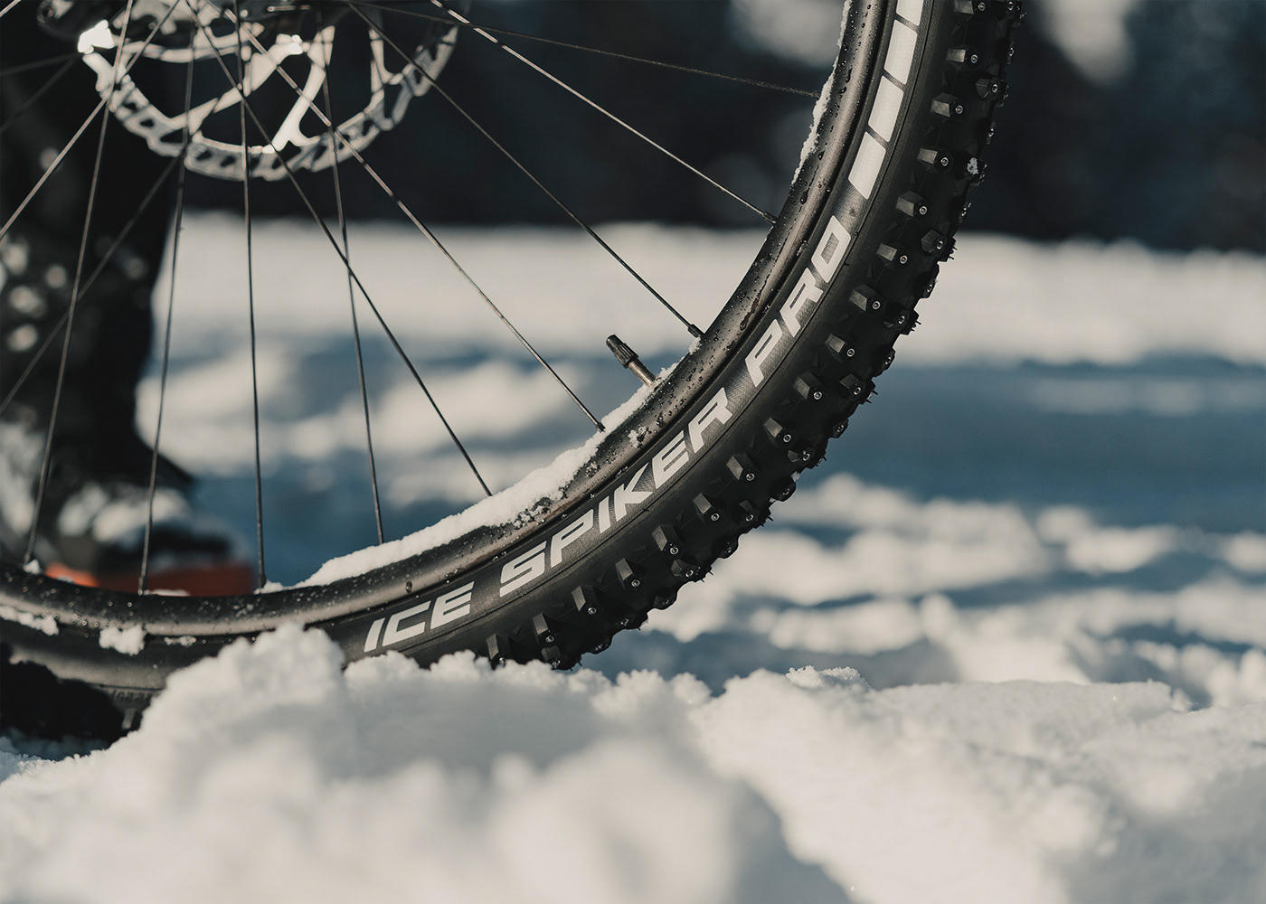 action sports bikes Cycling mountain bikes mountains Photography  snow videography winter winter action sports