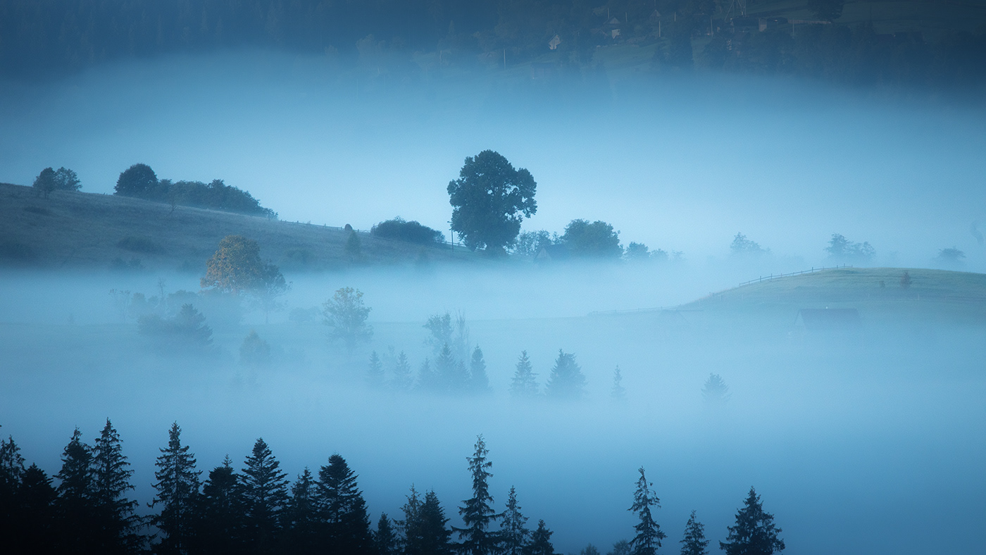 autumn Canon fog Landscape mist Nature Photography  trees