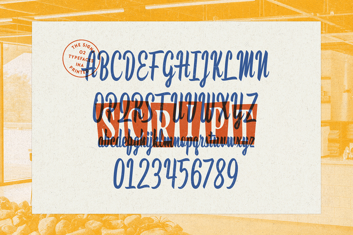 vintage font bold font display font Script serif logo handletter Retro Hipster Signs Font