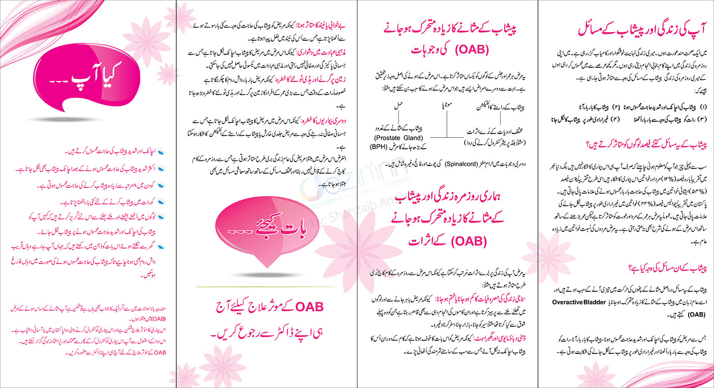 Bladder Health Solifen Getz Pharma Bushra Ansari folder poster questionaire leaflet pink Pharmaceuticals