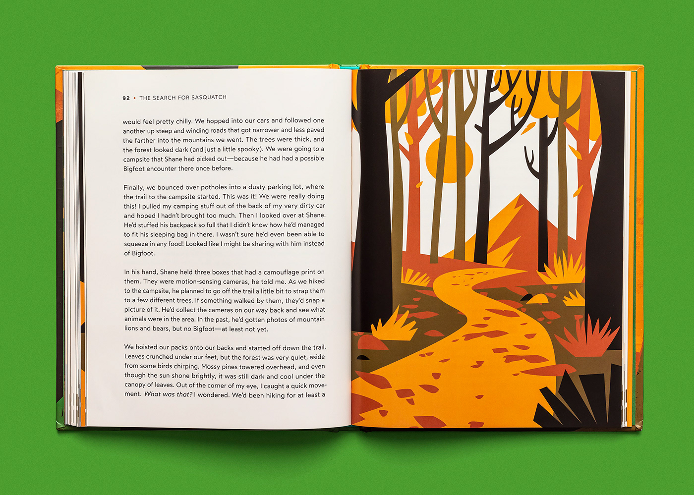 book cover book design book illustration children children's book flat illustration ILLUSTRATION  Nature sasquatch texture