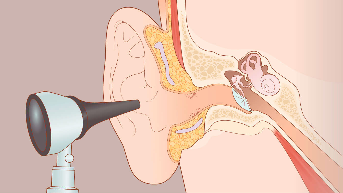 medical educational scientific anatomy nose neck ear
