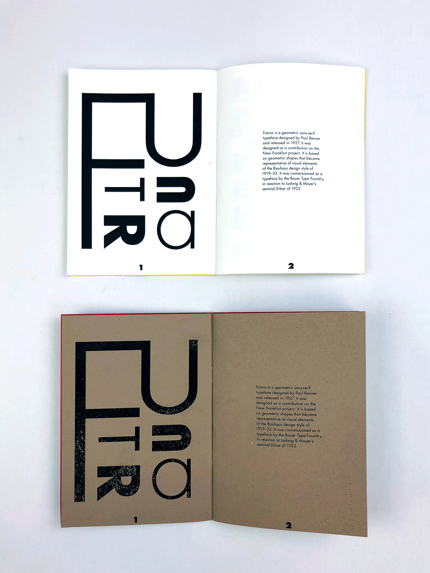 typography   Bookdesign Typespecimen graphic design  Futura