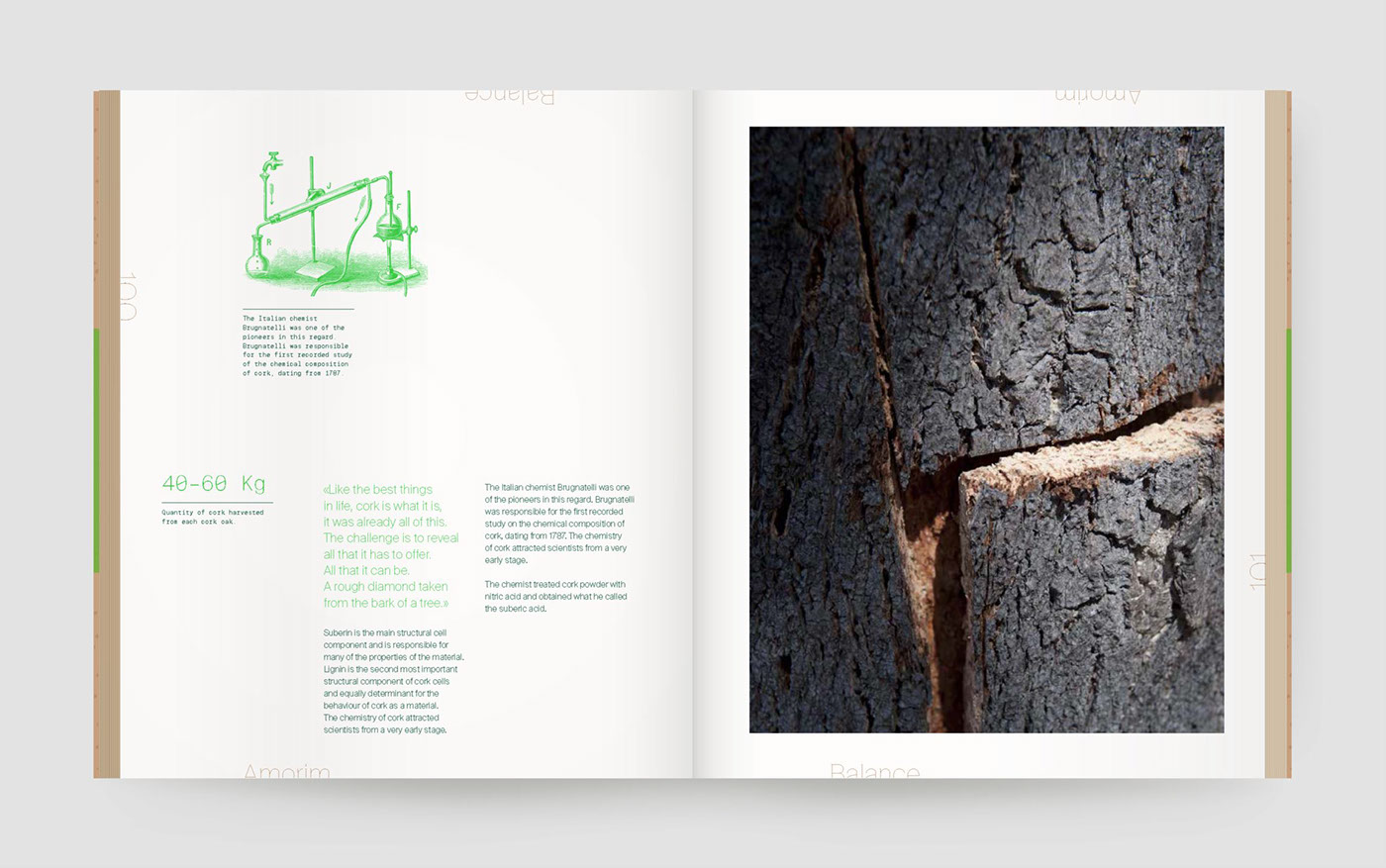 cork book studiofm StudioFMmilano Nature amorim Tree  infographic