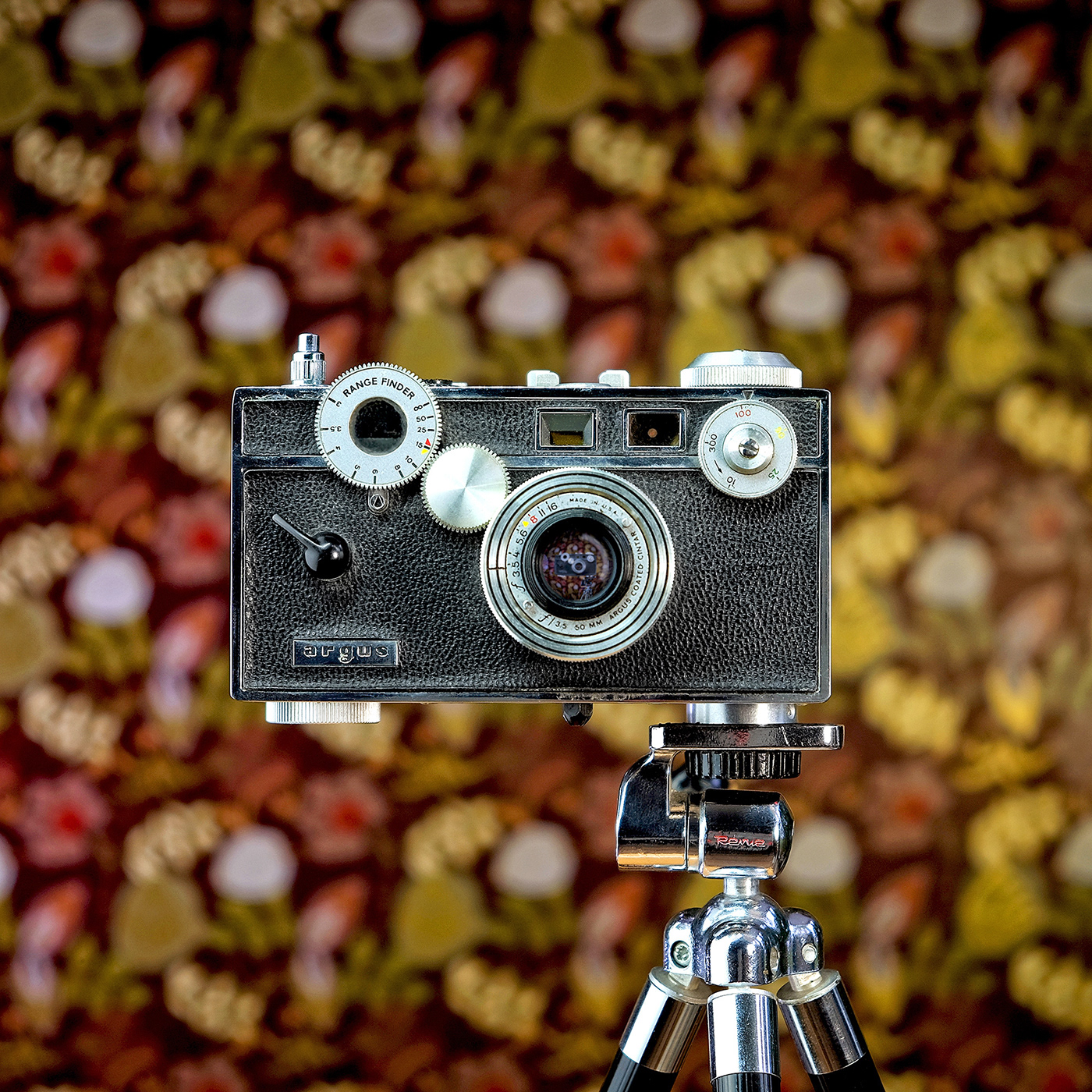 camera cameraselfies contemporary Retro selfie selfportrait vintage wallpaper