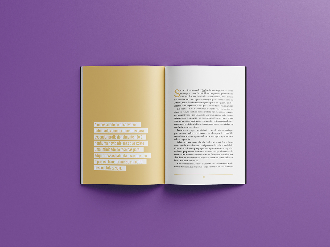 projeto gráfico design editorial diagramação design gráfico editorial InDesign brochure Livro diagramação de livro projeto gráfico editorial