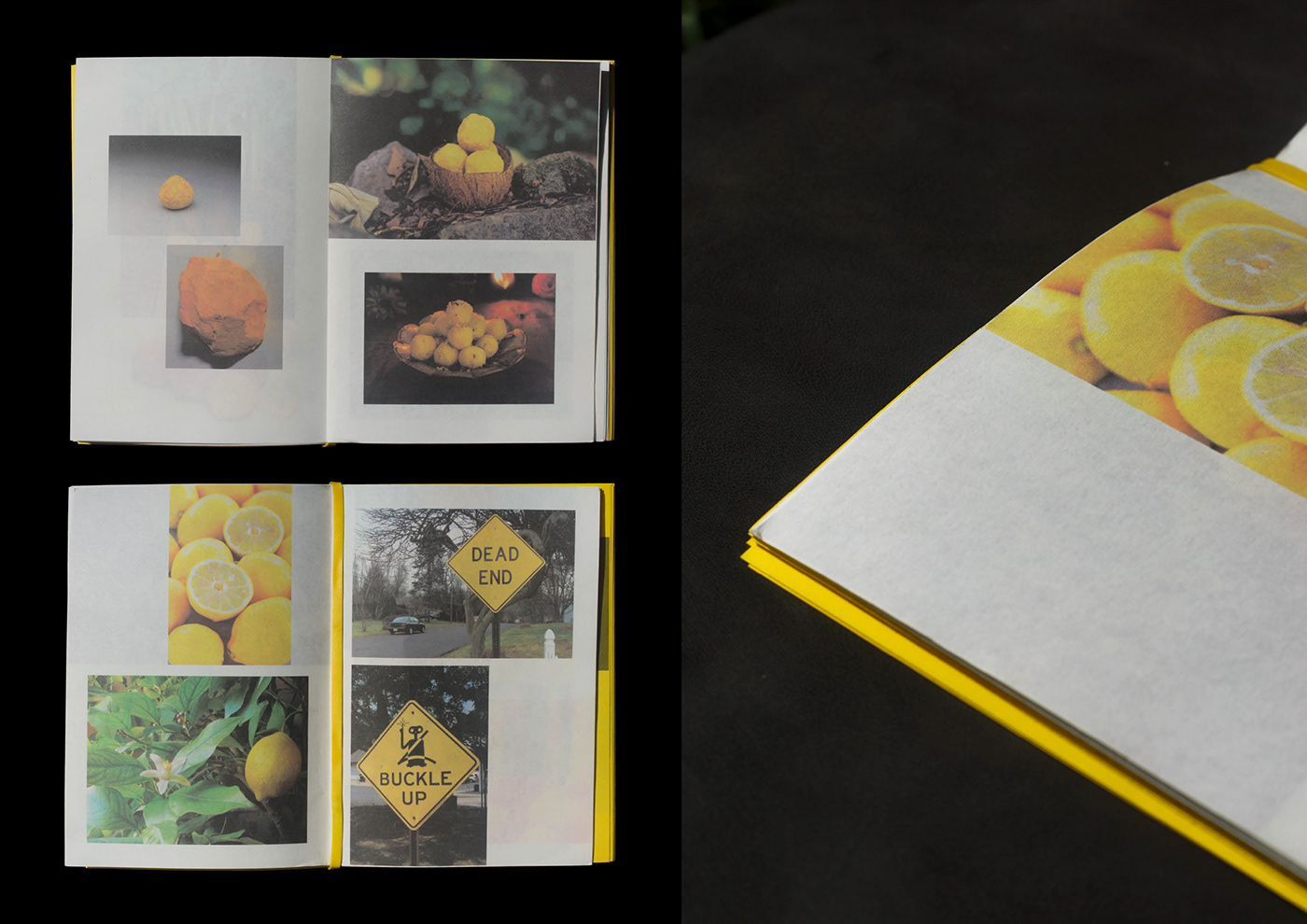 book publication design yellow typography   Book Binding print design  graphic design  editorial publication Encyclopedia