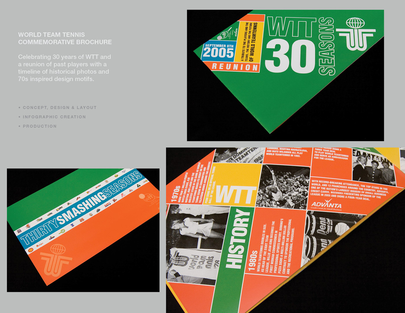 brochure design brochures Corporate Design designer graphic design  graphics ILLUSTRATION  infographics marketing   print design 