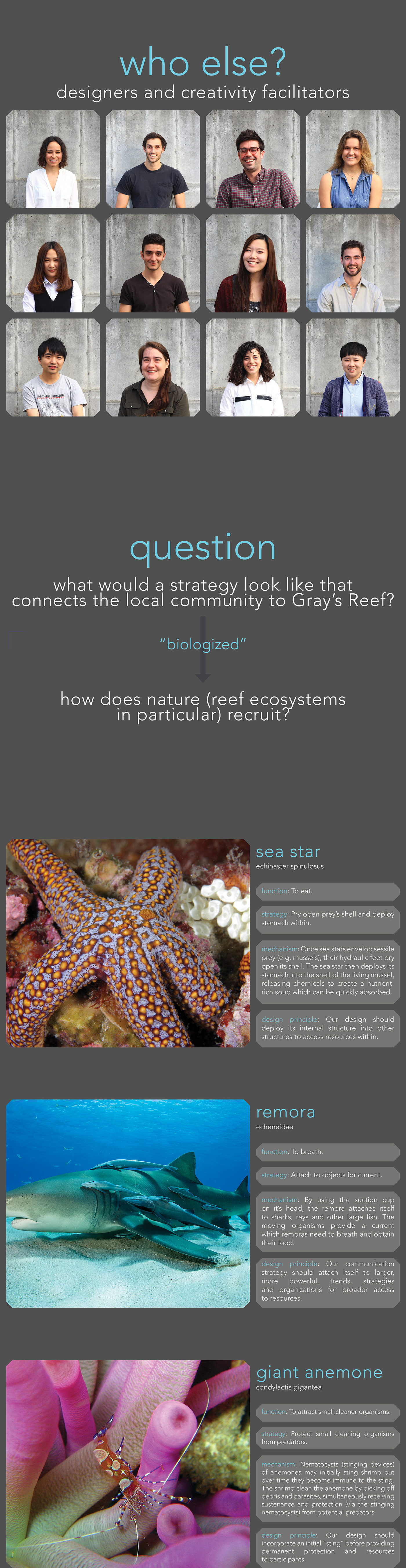 marine stewardship noaa Grey's Reef Ocean creative thinking facilitation