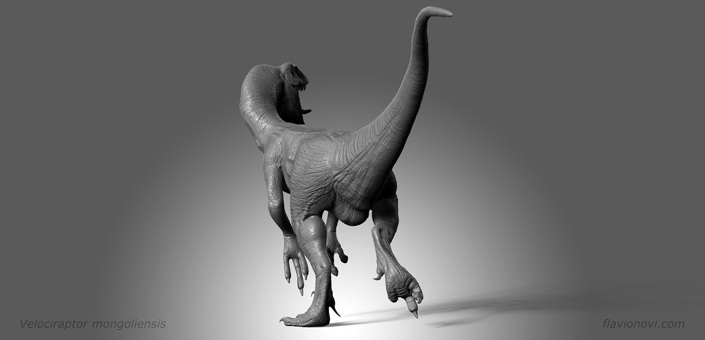 3D blackandwhite collectible creature Dinosaur jurassic mascote noir velociraptor Zbrush