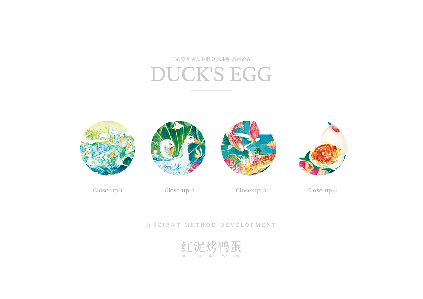 Egg package Design farm produce chicken illstration duck package design  china