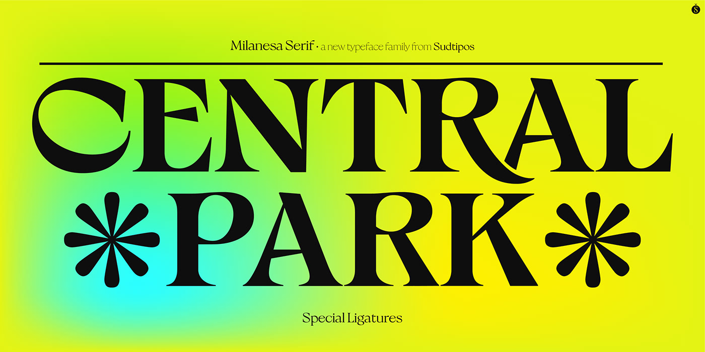contemporary editorial font modern sudtipos trendy typography  