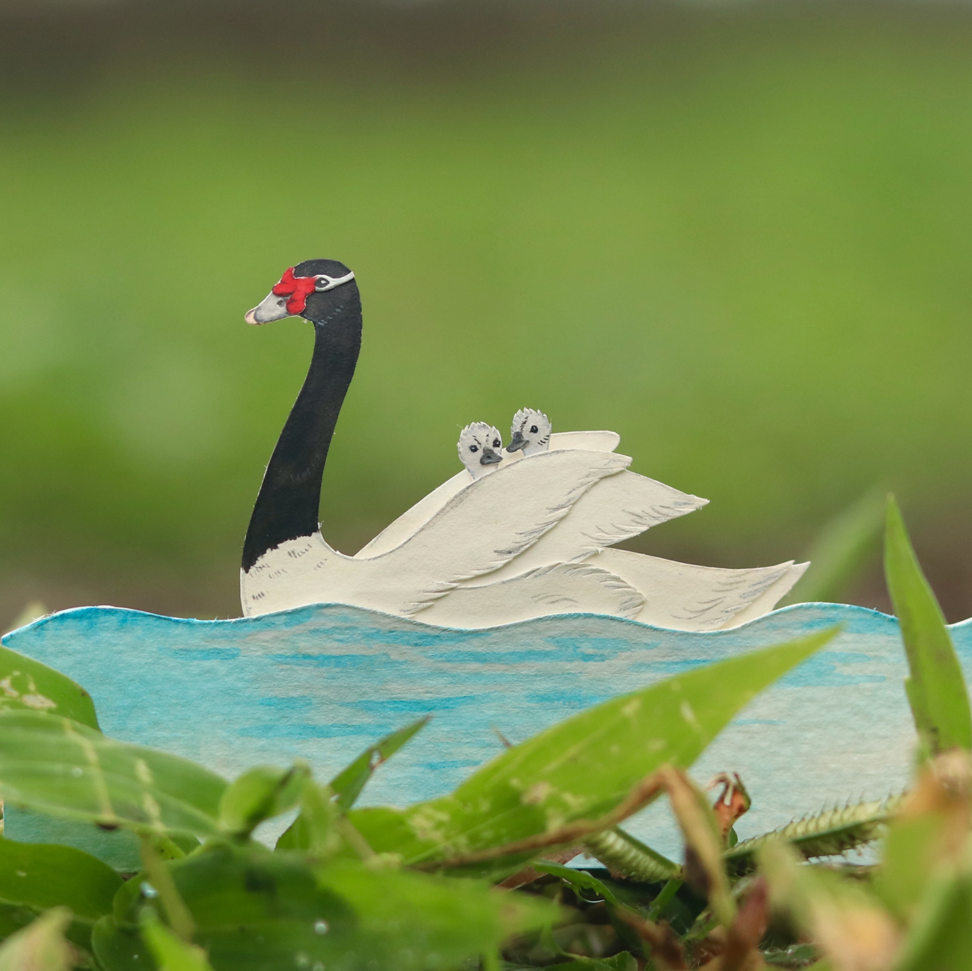 Miniature paperart ILLUSTRATION  Behance craft wildlifeillustration watercolorpainting  birdillustration paper installation natural history