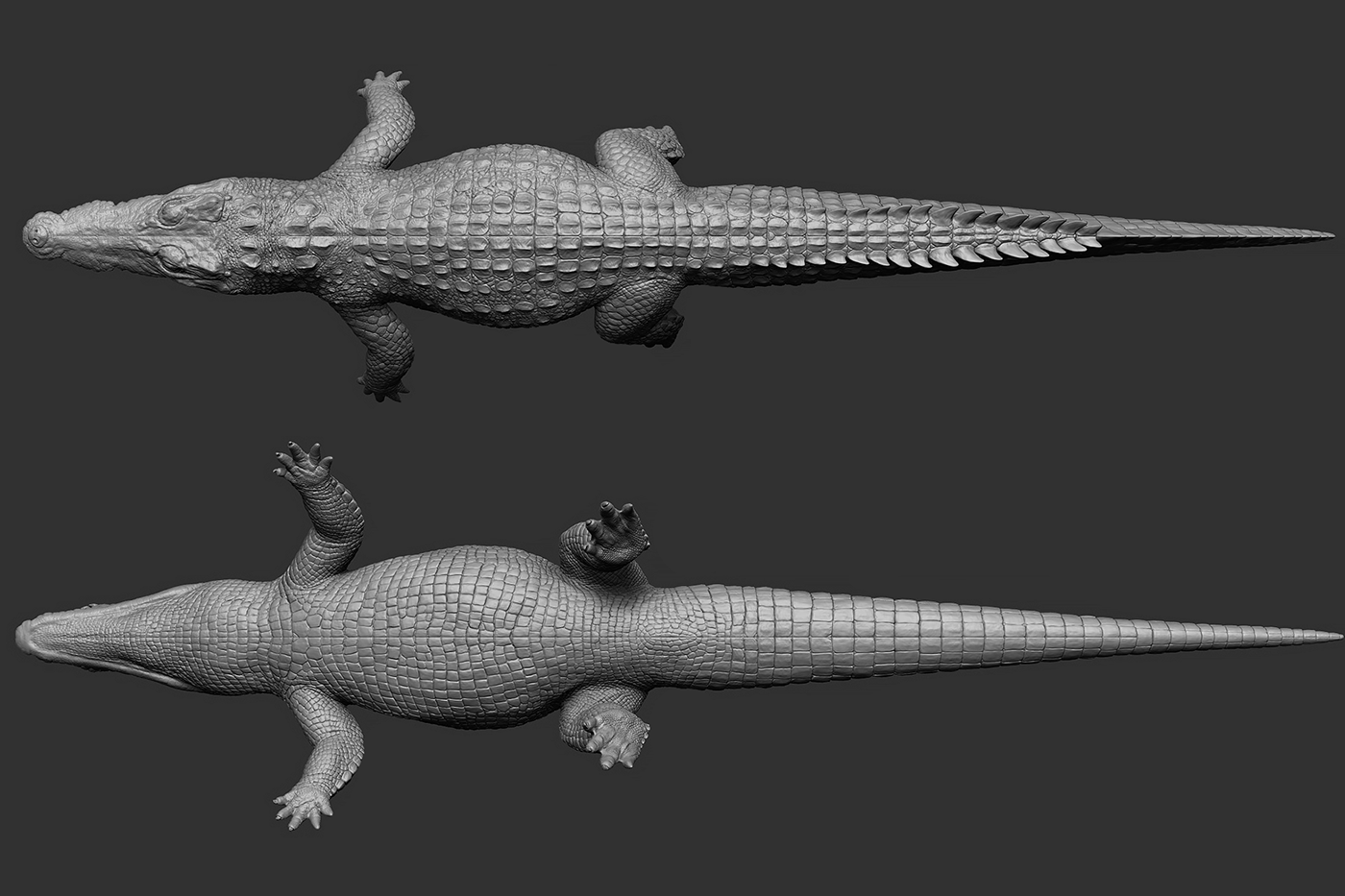 alligator croc croc 3d crocodile crocodile 3d model crocodile sculpt siamese siamese crocodile Zbrush