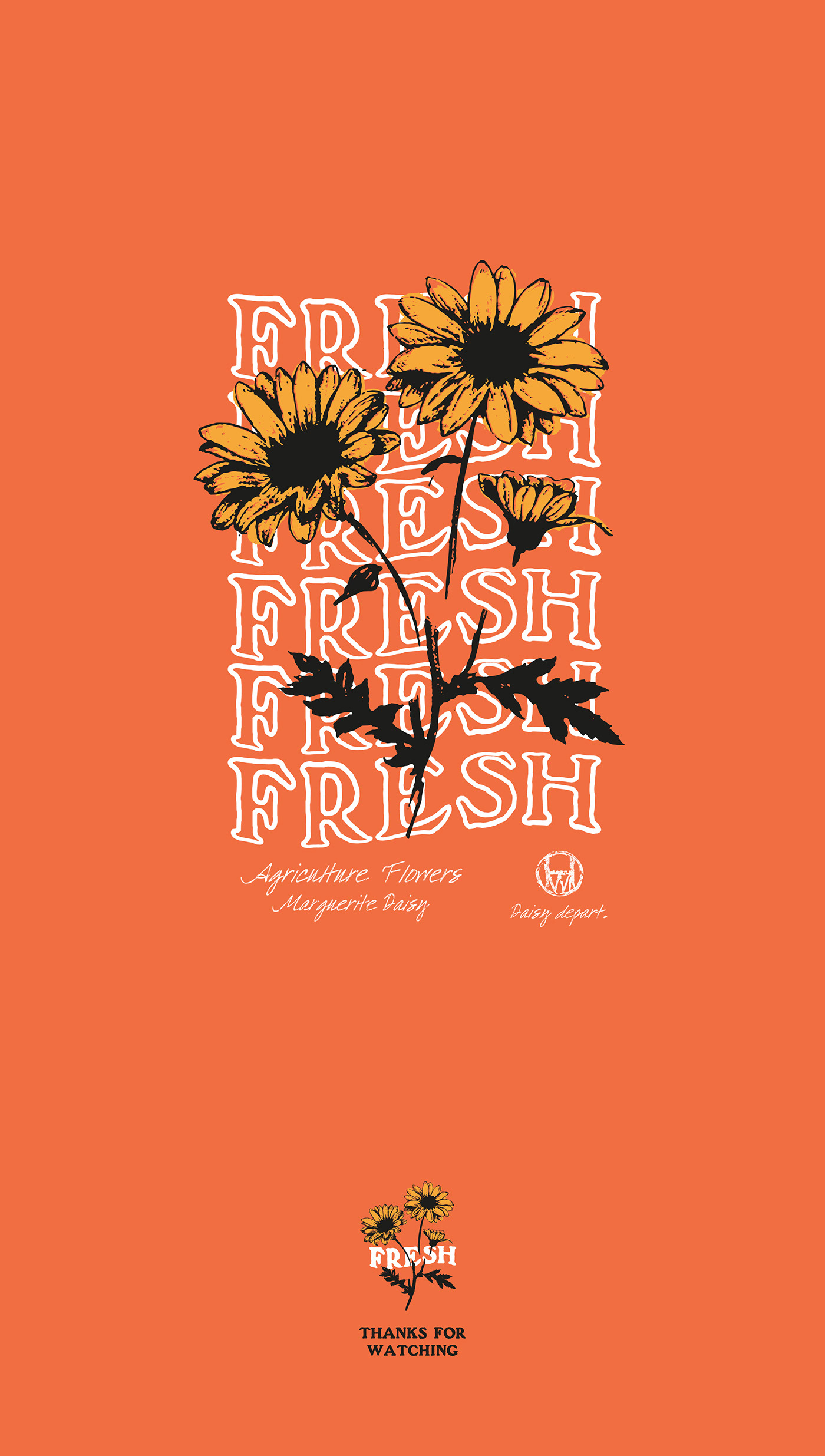 fresh daisy graphic design  typography   orange Fashion  Photography 