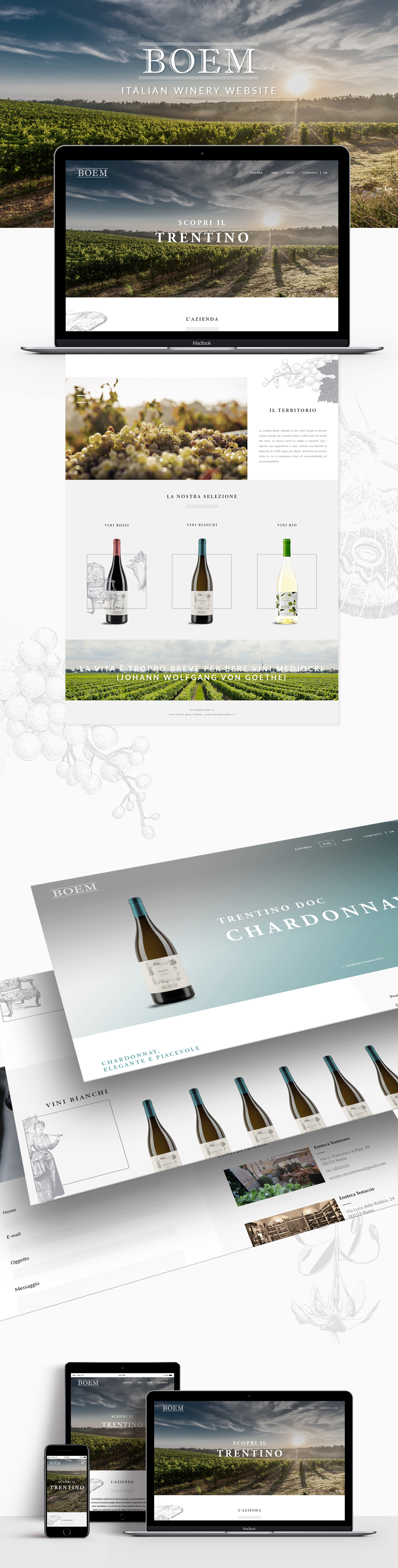 wine vino Website winery WINEYARD mobile Ecommerce commerce bio drink
