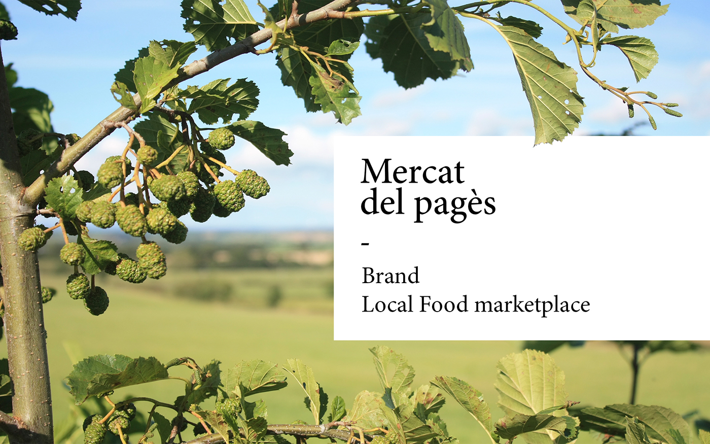 market Food  organic Mercado Marketplace harvest brand logo
