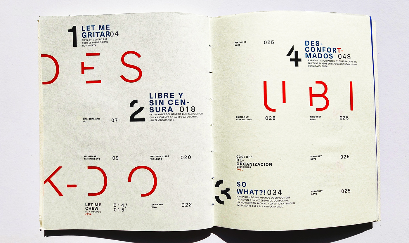 design diseño gráfico editorial graphic design  identity InDesign publishing   tipografia typography   visual identity