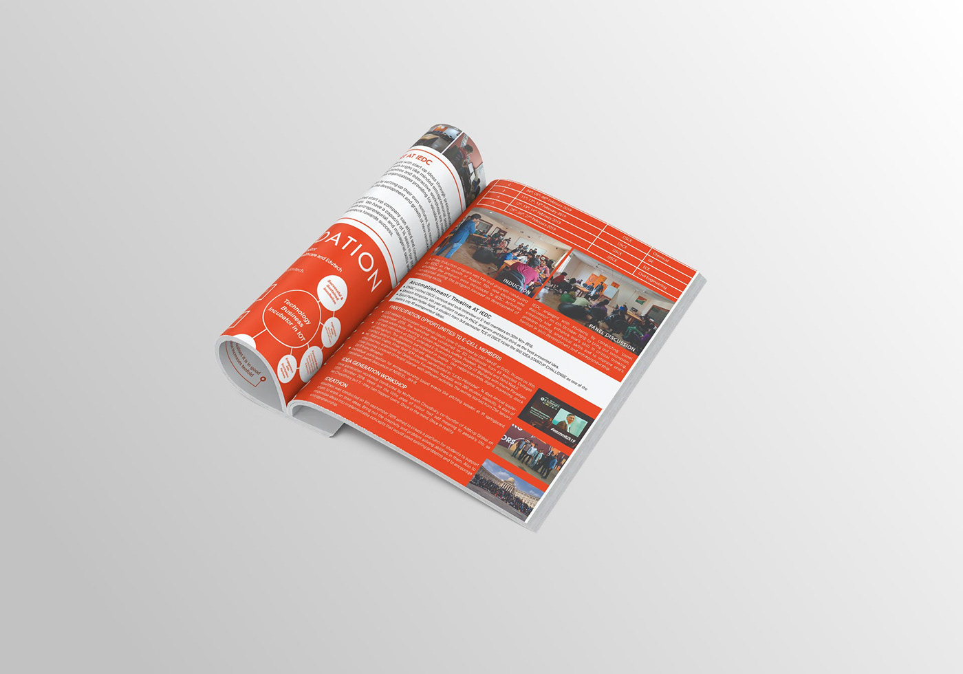 Annual Newsletter book graphic design  Illustrator magazine newsletter print