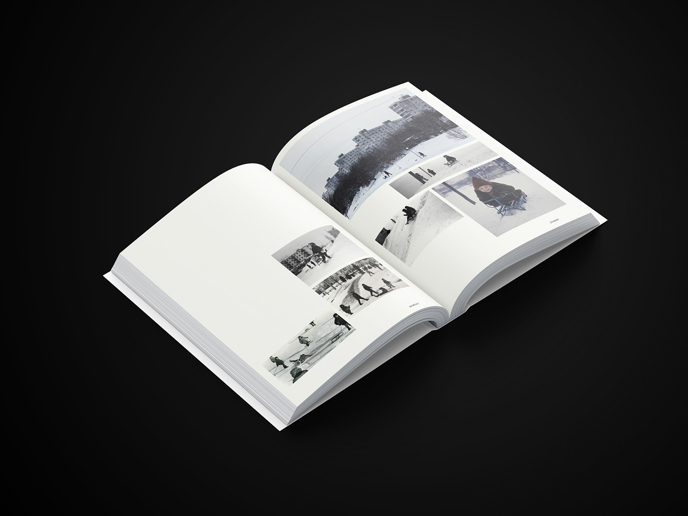 book graphic design  editorial print sport iuav metagrafik maxim dosca University book design