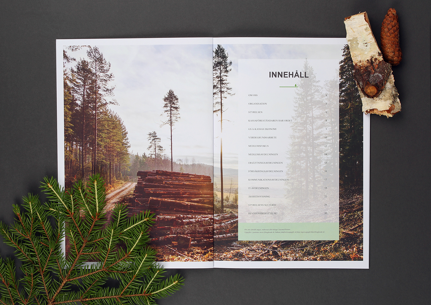 Layout print editorial infographics brochure forest wood report