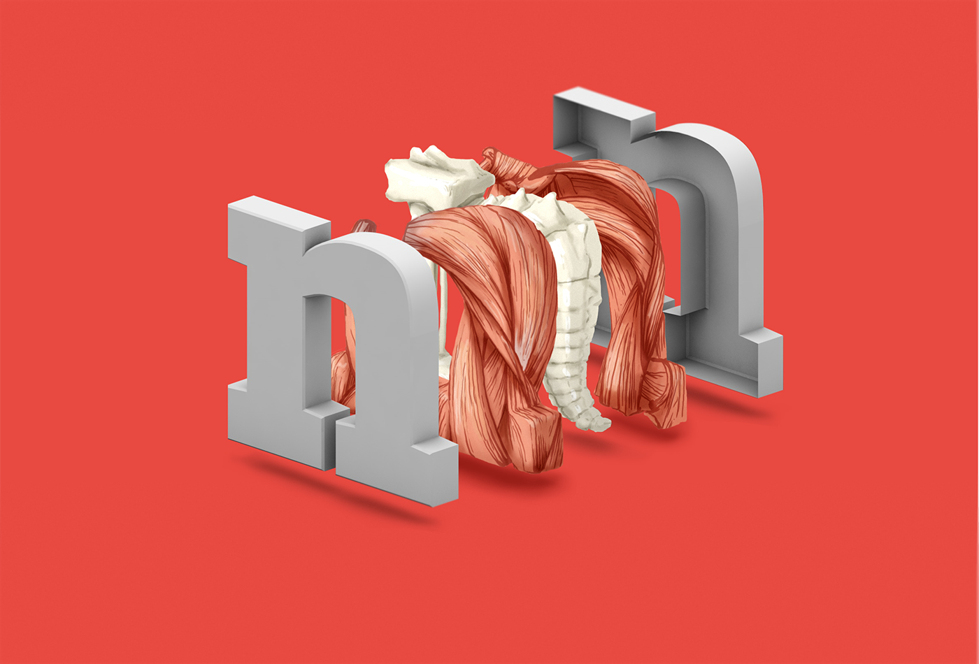typo font atletico animation gif anatomie anatomy design artill