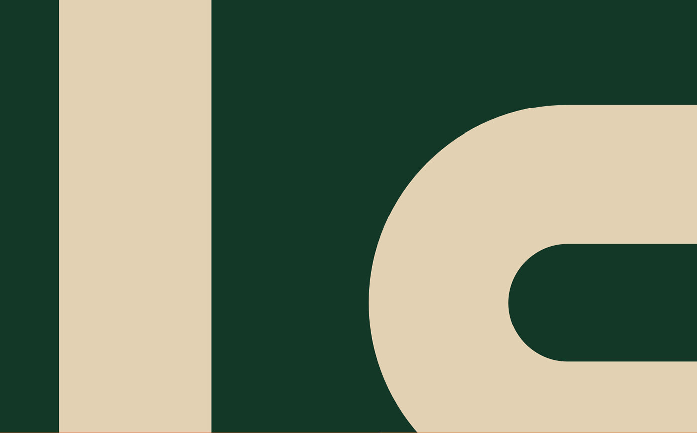 BI branding  CI logo 기업 브랜딩 로고   브랜딩 Adobe Portfolio
