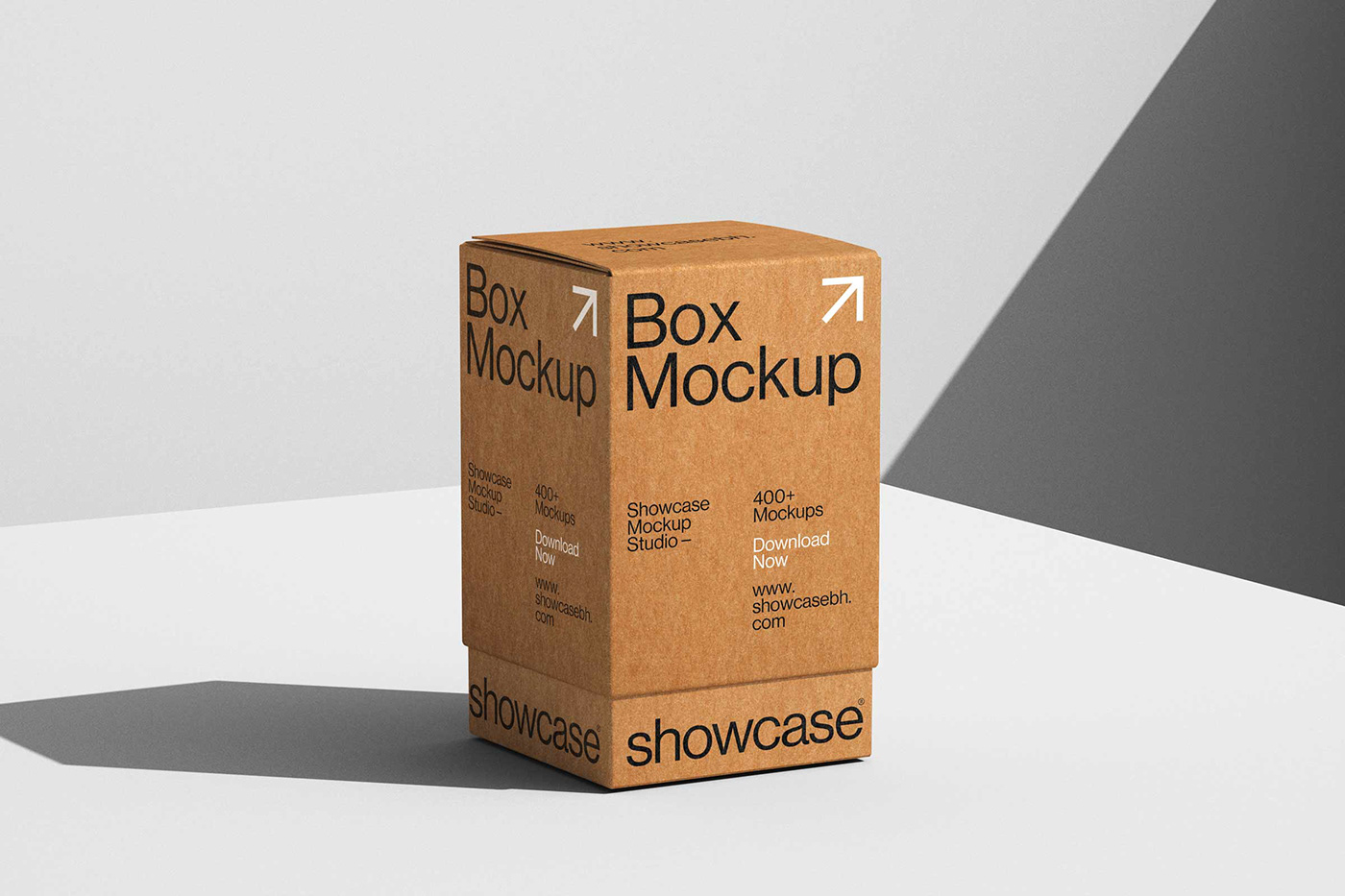 Packaging packaging design brand identity Logo Design visual identity box mockup packaging mockup
