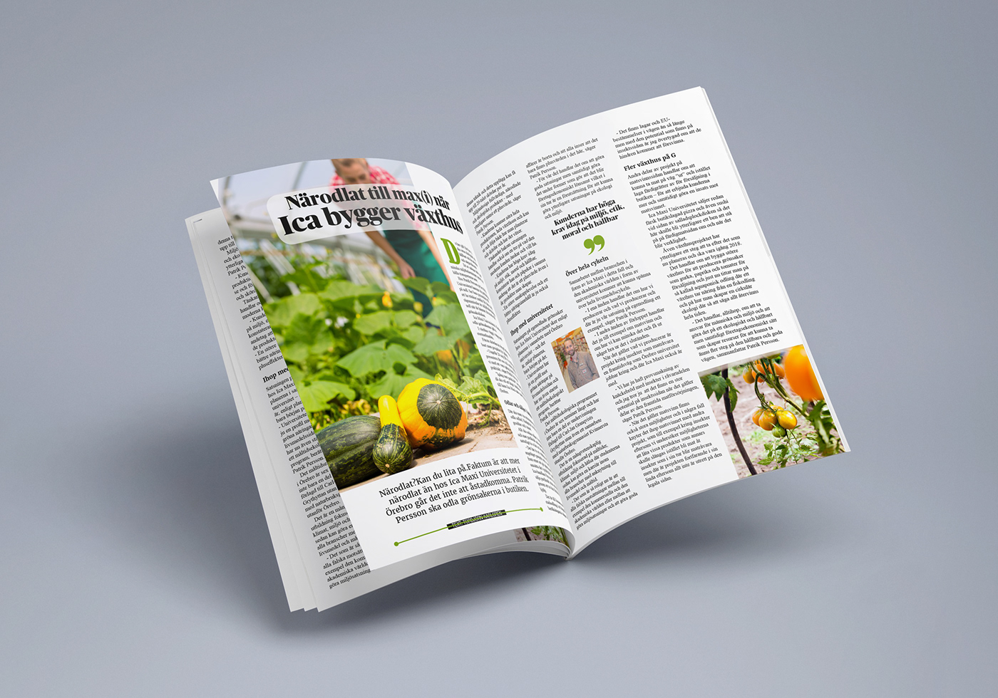 magazine Graphis Desing branding  print Adobe InDesign advertise ads design