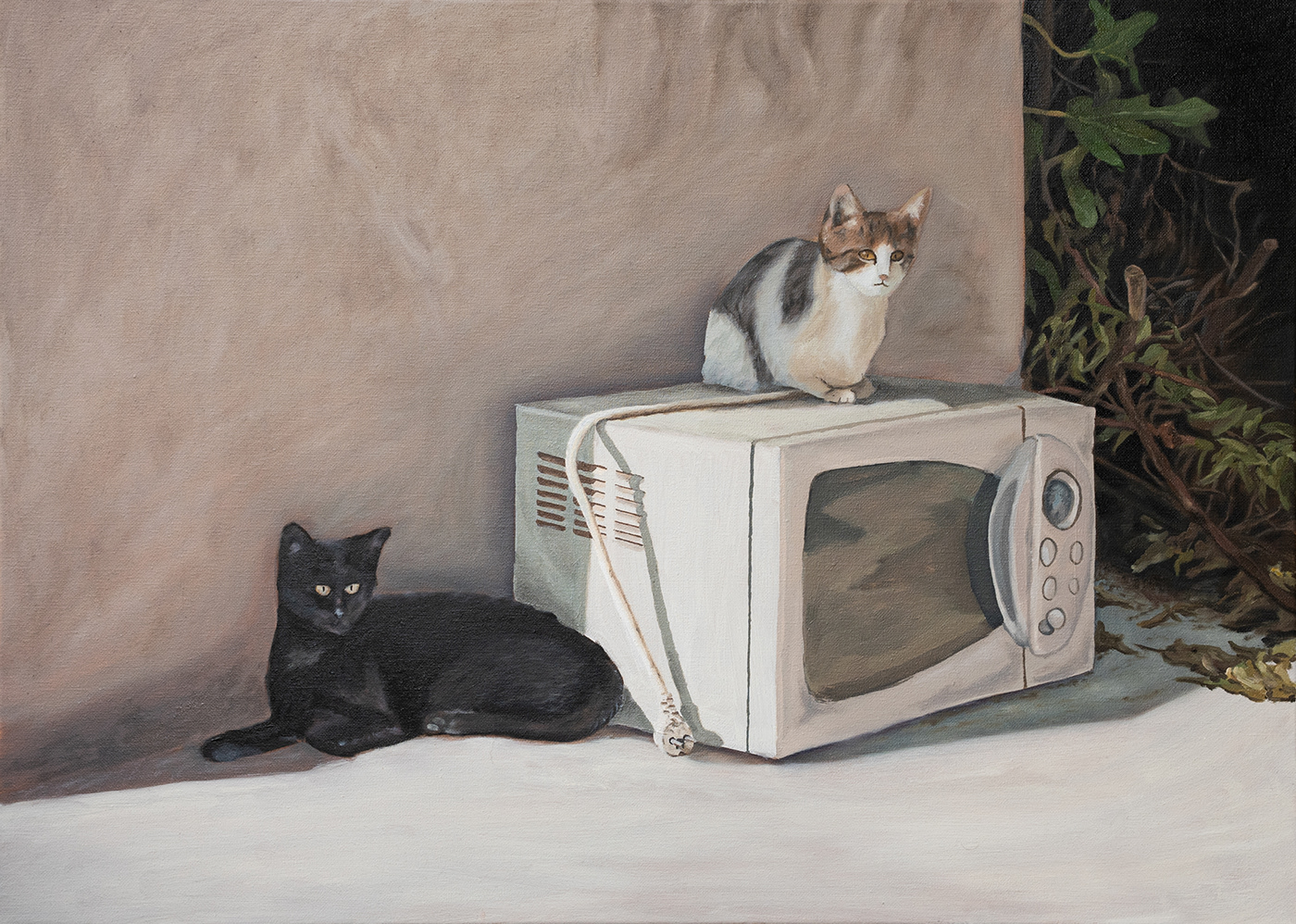 animals art artwork canvas Cat contemporary cute minimal oil Oil Painting