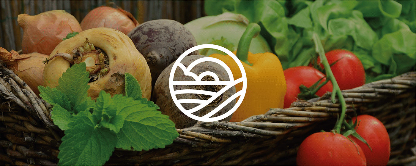 branding  logo diseño gráfico Identidad Corporativa agricultura ecologica marca solid Retro bio vector