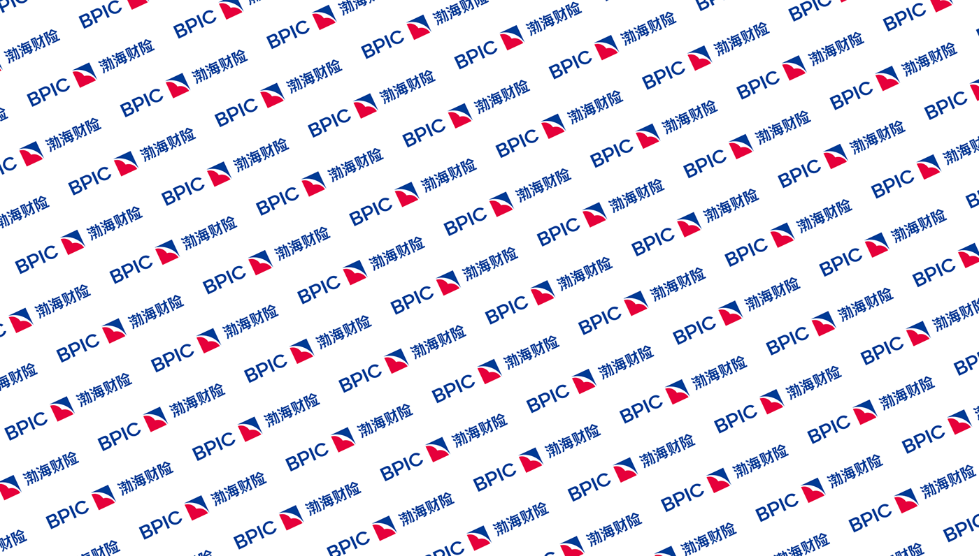 brand identity branding  company insurance Logo Design Logotype Poster Design typography   visual visual identity