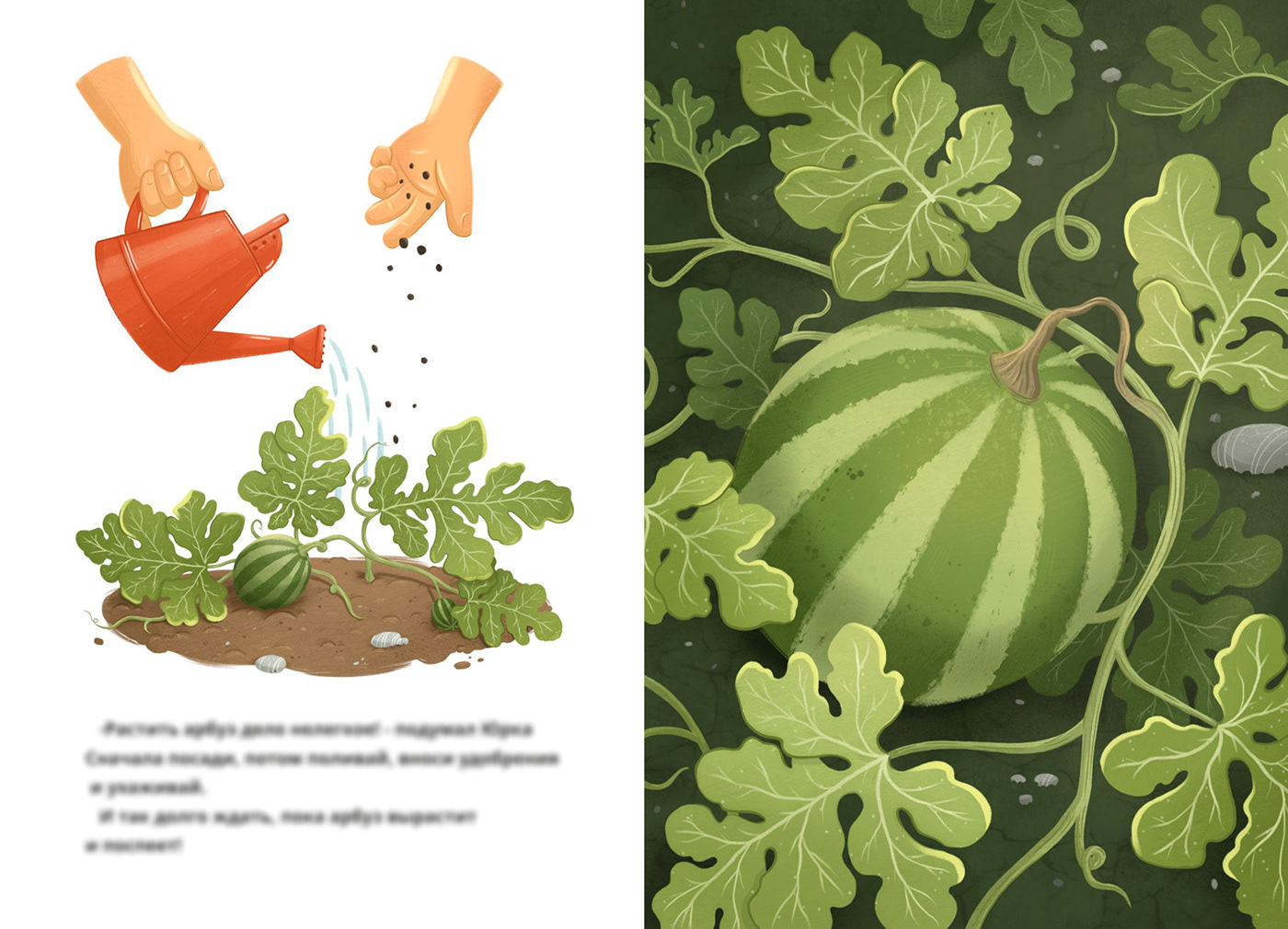 A children's book about a boy planting a watermelon