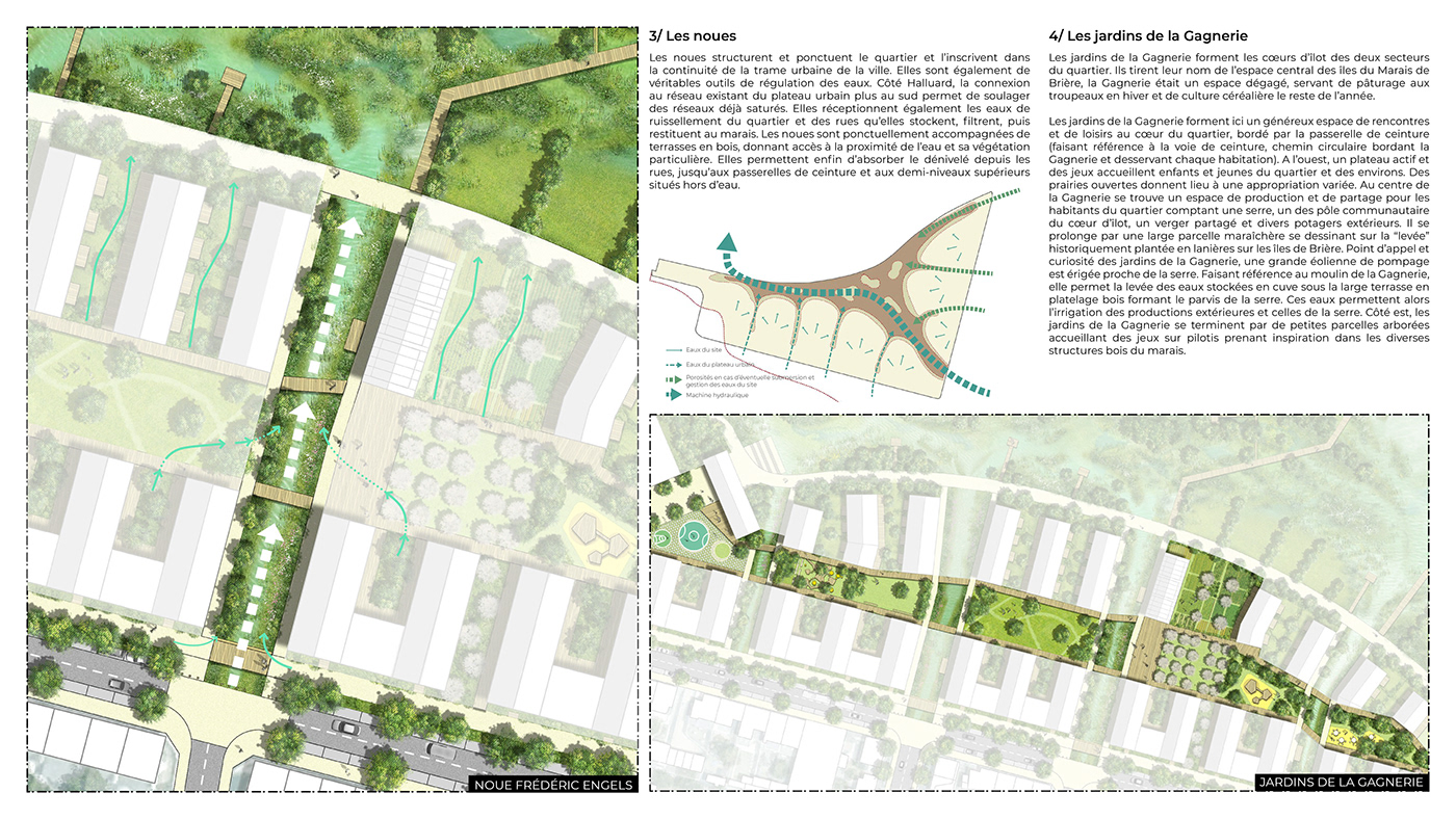 architecture econeighborhoods flood Landscape Landscape Architecture  resilient sustainable architecture Urban Design urbanism   visualization