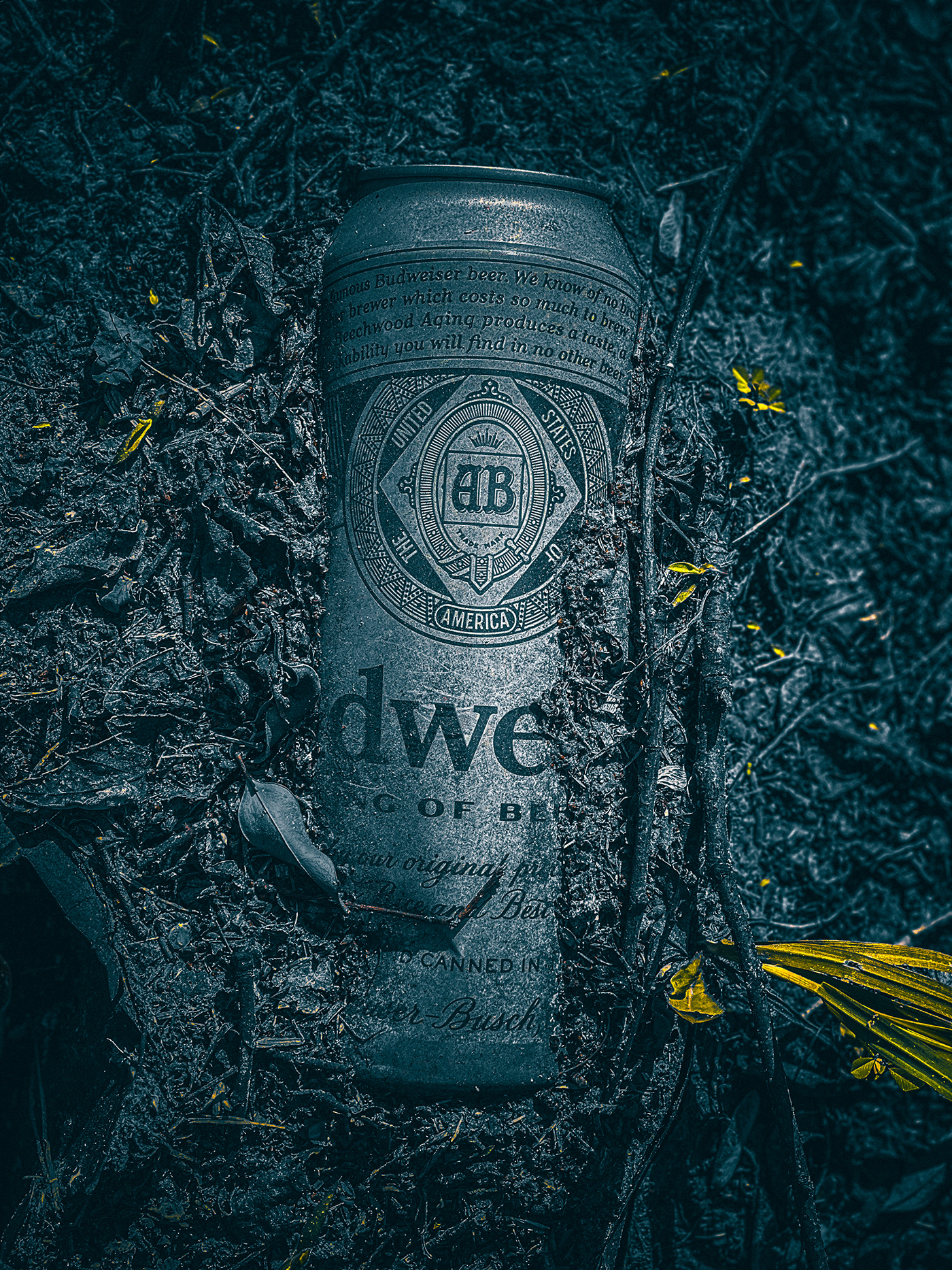 dirty Budweiser can dirt iphone ShotOniPhone Photography  lightroom Nature photographer