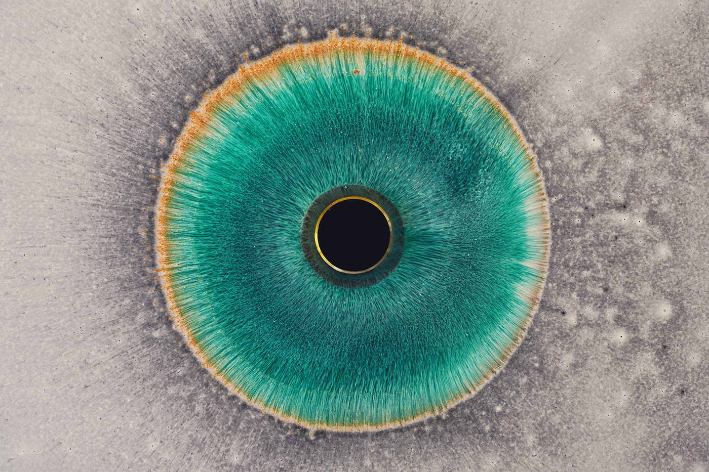 abstract art cryptoart eye nft Photography  videoart