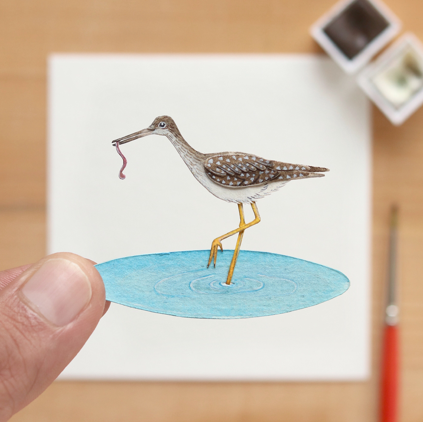 animals Behance birds editorialillustration ILLUSTRATION  Miniature papercut watercolorillustration watercolour wildlife