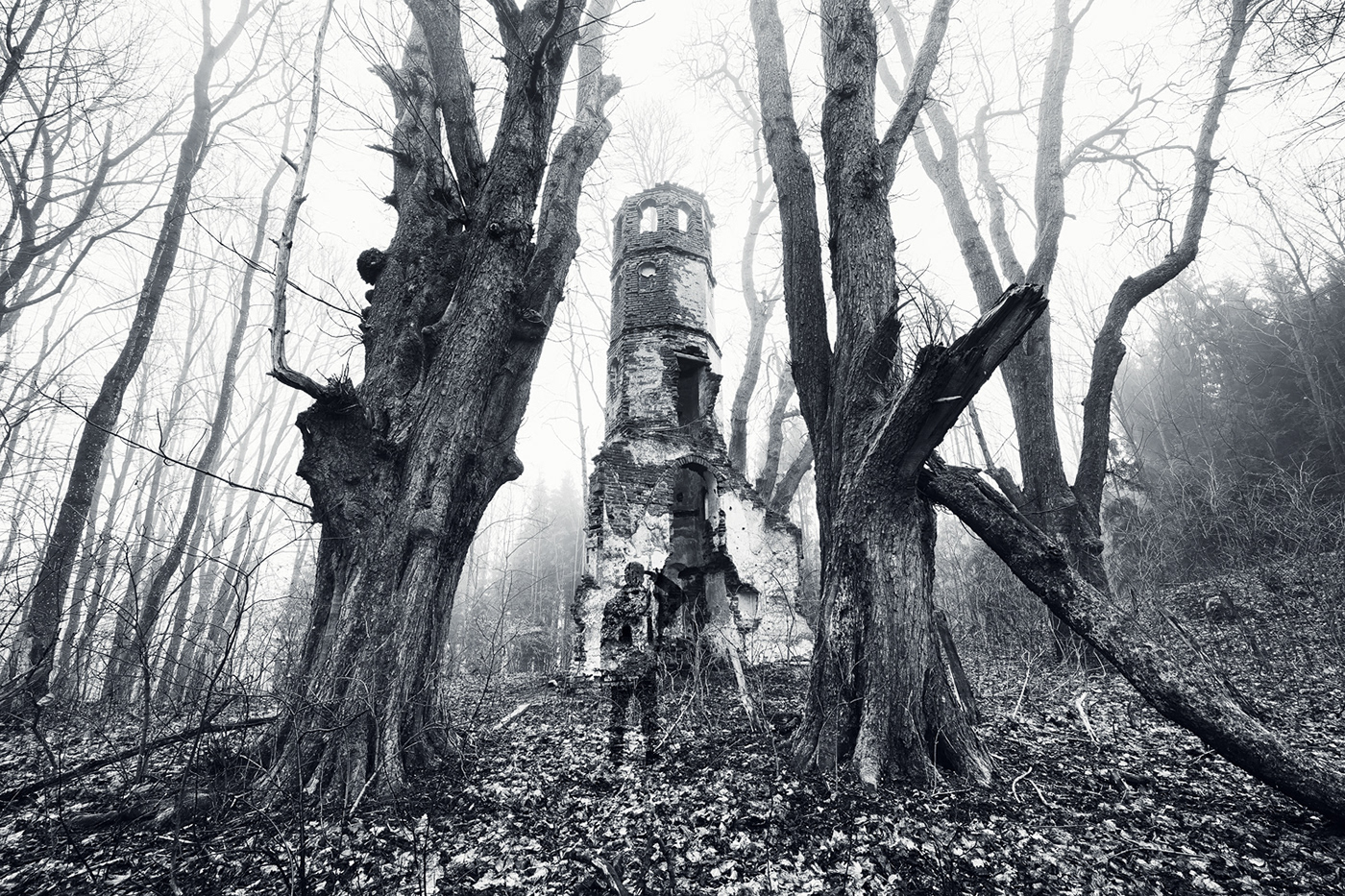 abandoned broken building Castle dream fog forest lost Nature ruin