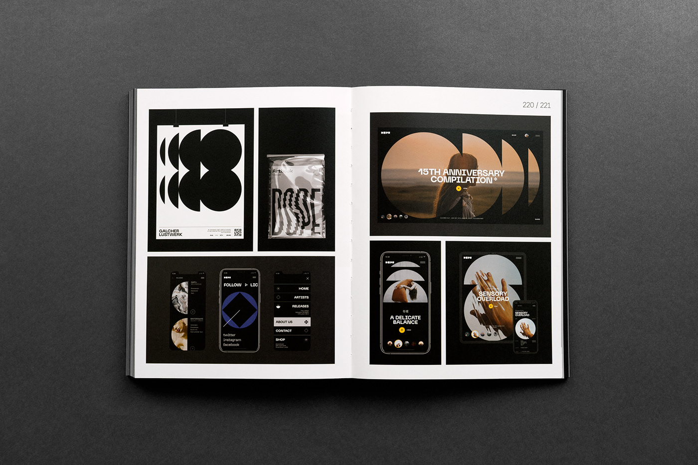 typography   graphic design  Branding design Branding Identity visual identity design book book design publication type design
