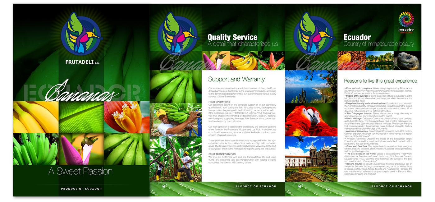 Ecuador banana farm logos brochure BANANA FARM Photography  Foods product of ecuador