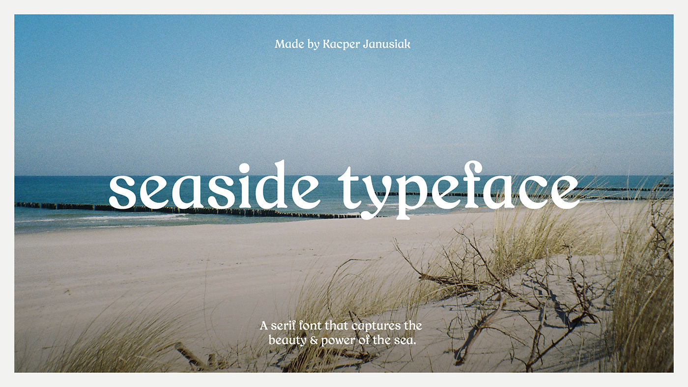 brand identity Calligraphy   design font lettering letters Logotype type typedesign typography  