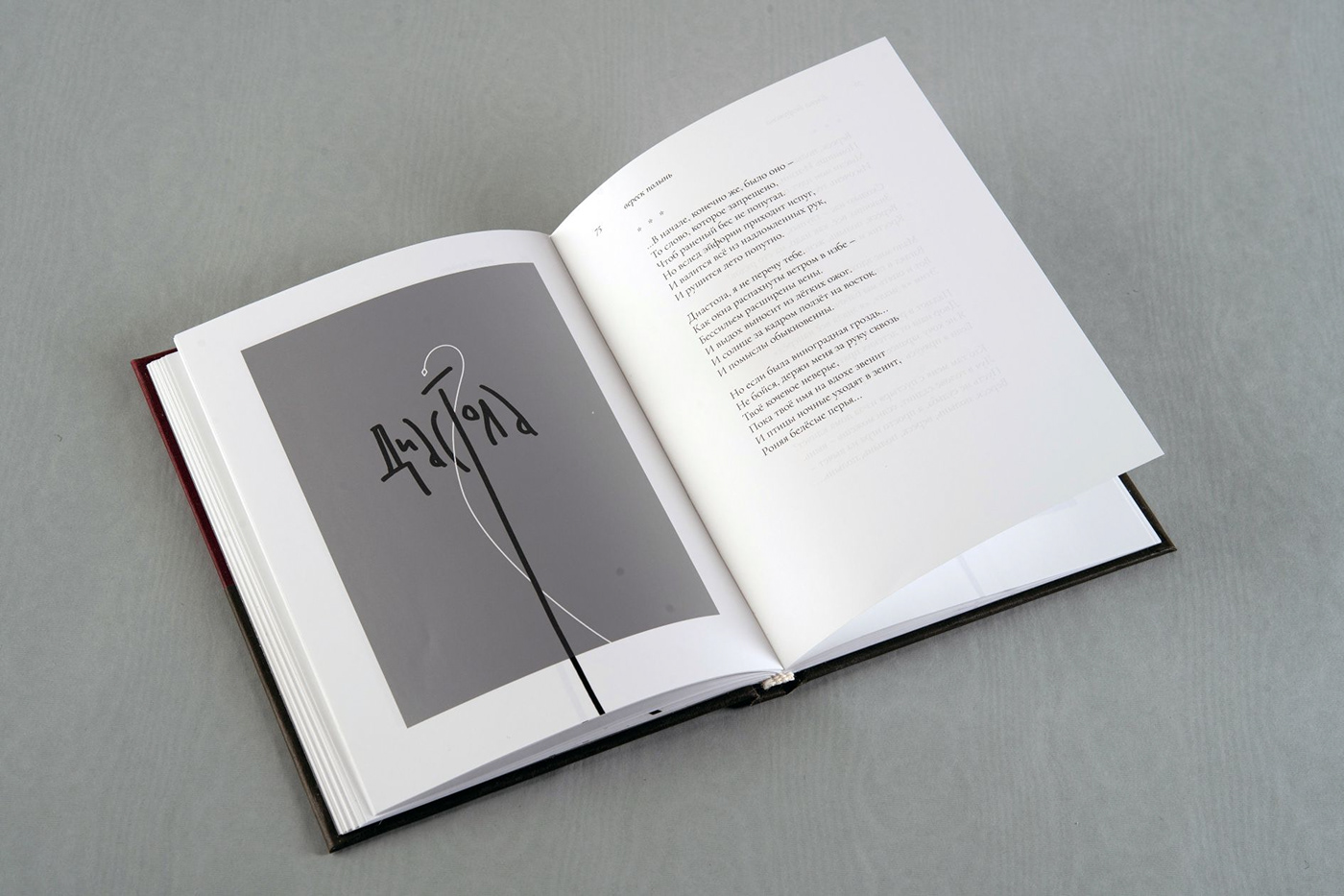book book design Calligraphy   lettering каллиграфия книга