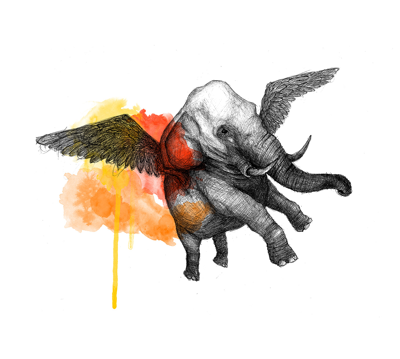 flying mammals animals sketch Fly ink elephant Rhino Drawing 