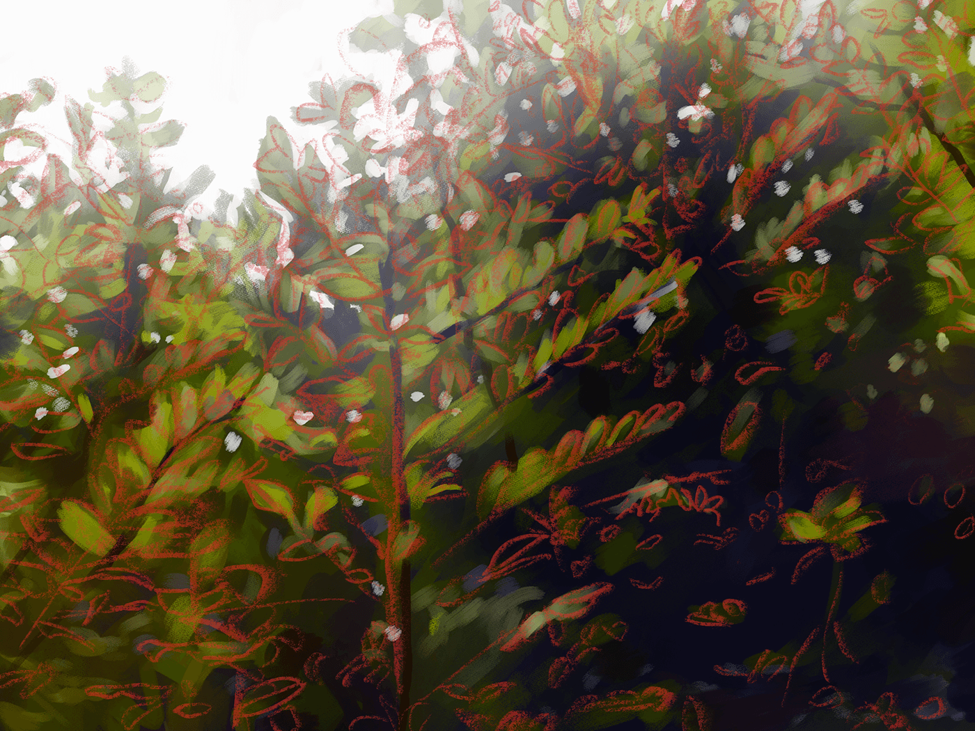 plantation leaves artstudy impression sunlight digitalpainting ARTWORKDIGITAL backyard impressionistart sunlightthroughtrees
