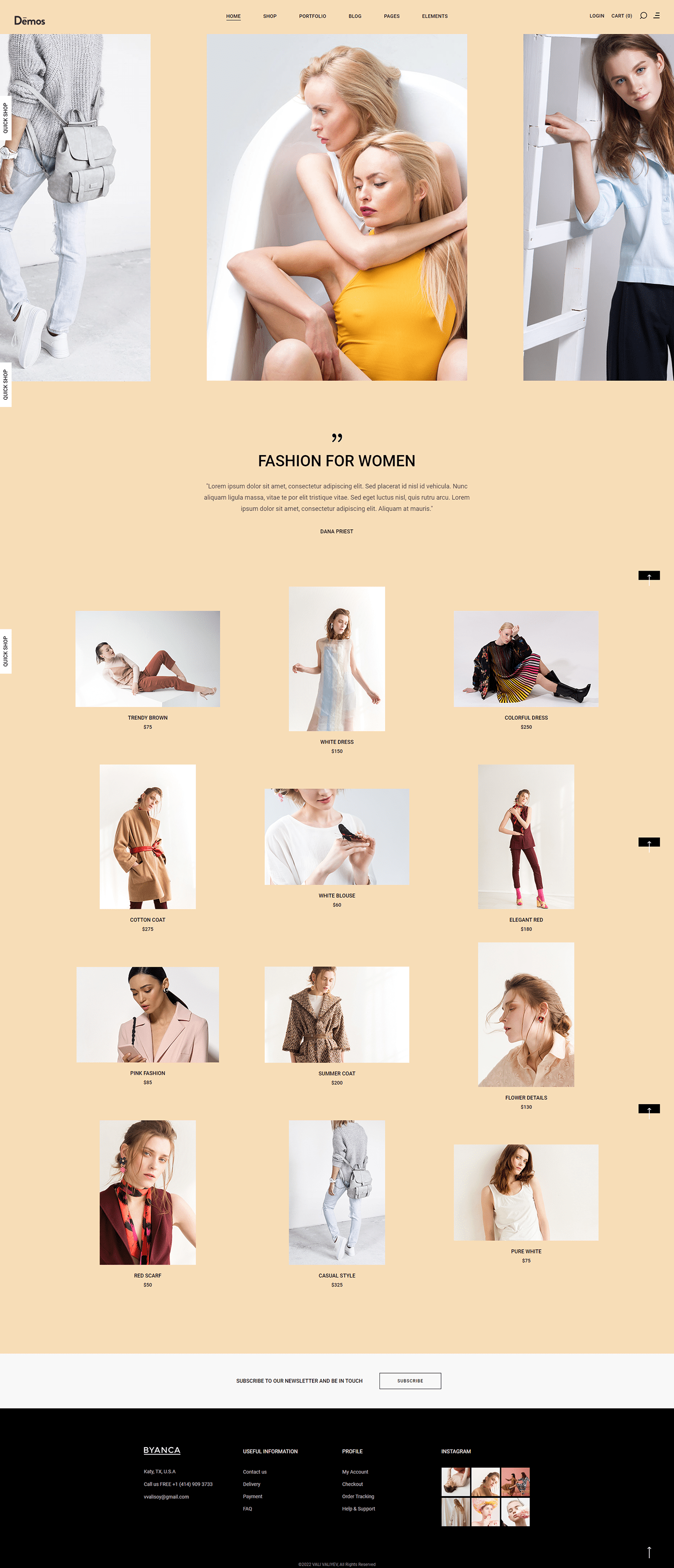 Web Design  woman clothes wordpress wordpress web design Wordpress Website
