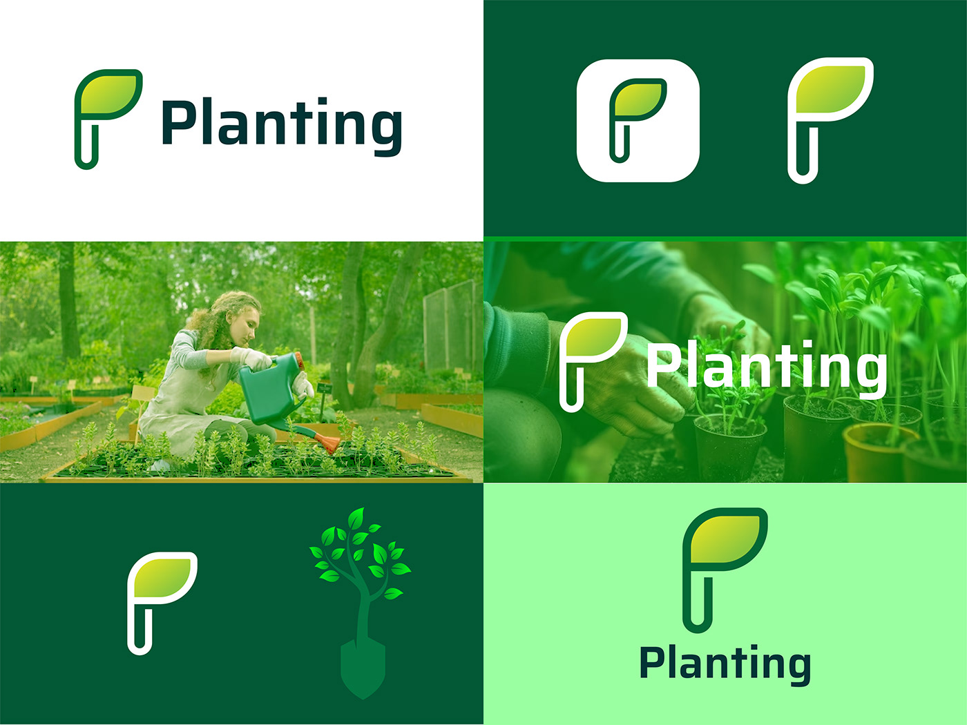 Plant planting planting logo design leaf Tree  tree logo green branding  brand logo Logo Design
