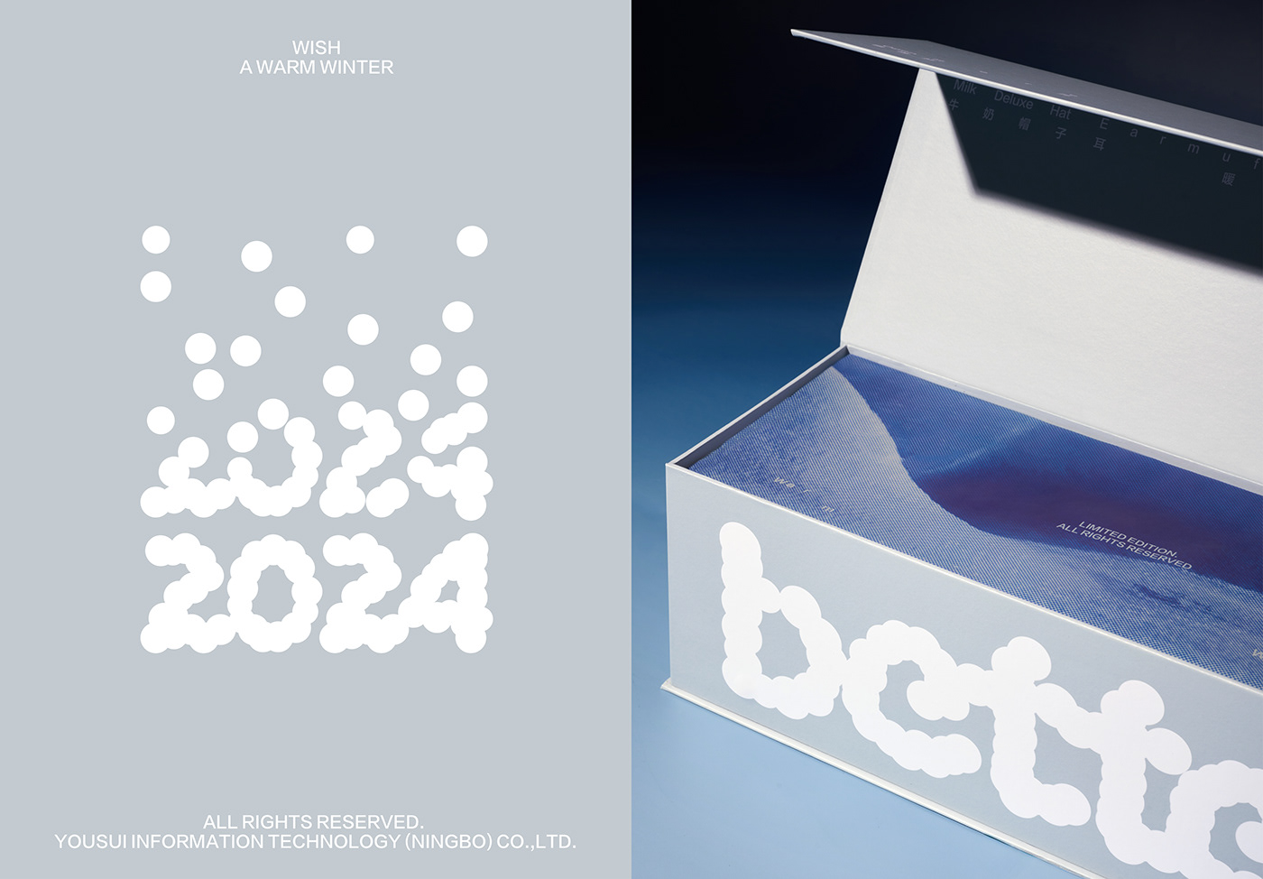 Packaging visual identity Graphic Designer Brand Design winter snow Photography 