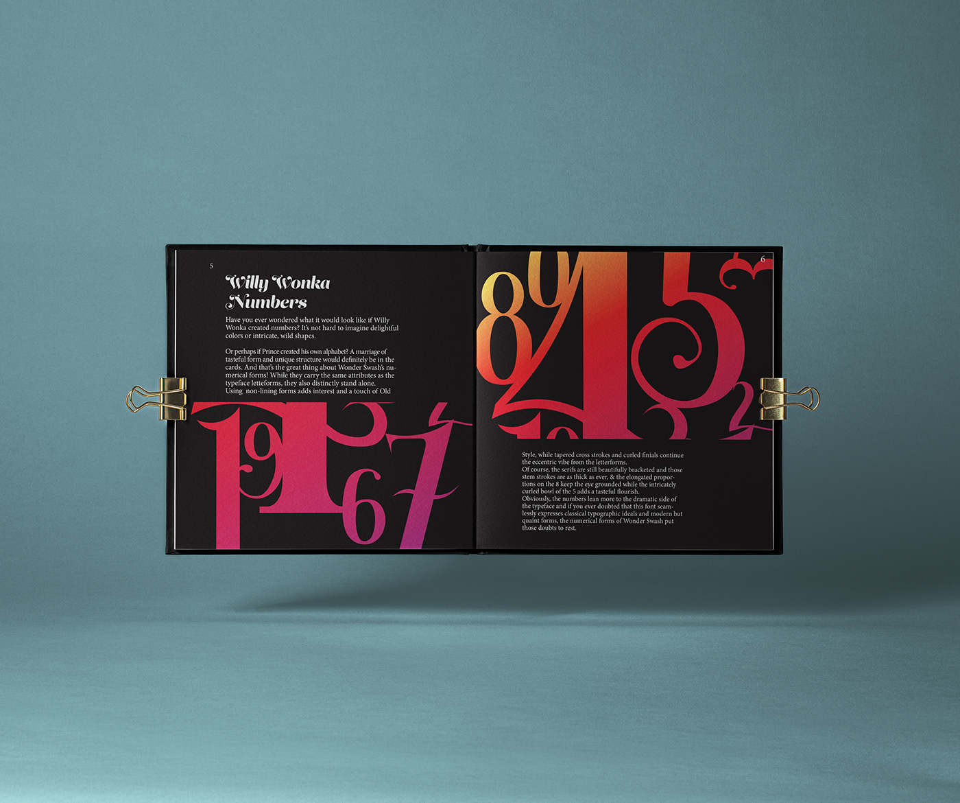 book cover book design books editorial design  font font design lettering Publiction Typeface typography  